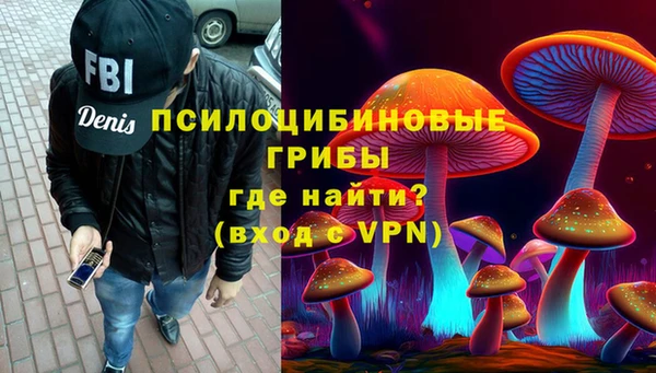 Альфа ПВП Ельня