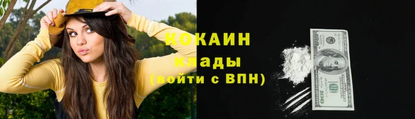 ALPHA-PVP Елизово