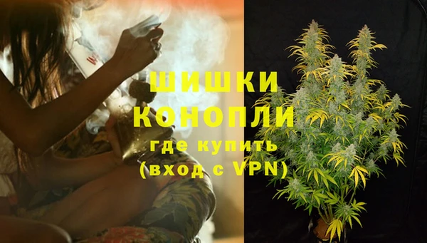 Альфа ПВП Ельня